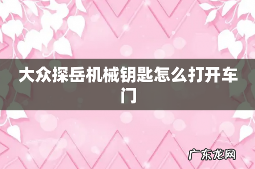 大众探岳机械钥匙怎么打开车门