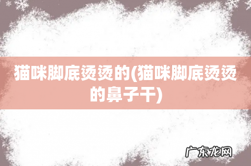 猫咪脚底烫烫的鼻子干 猫咪脚底烫烫的