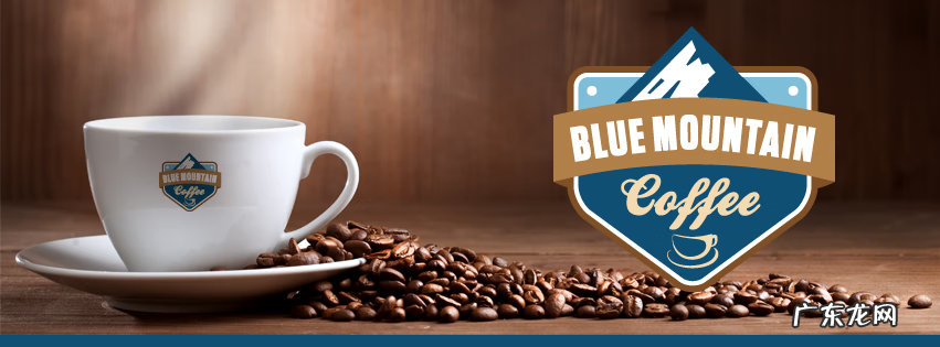 咖啡微研磨是什么意思 咖啡磨