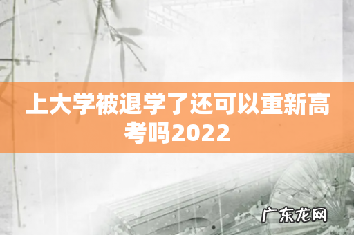 上大学被退学了还可以重新高考吗2022