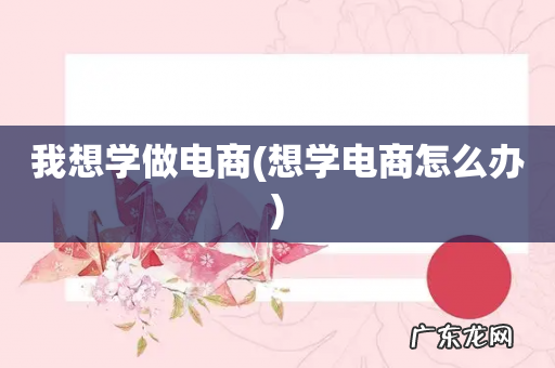 想学电商怎么办 我想学做电商