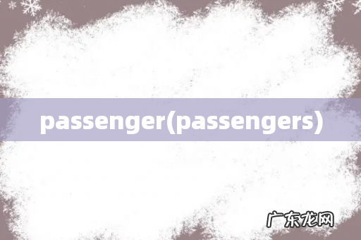 passengers passenger