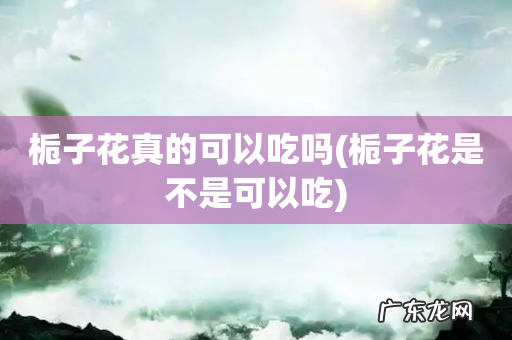 栀子花是不是可以吃 栀子花真的可以吃吗