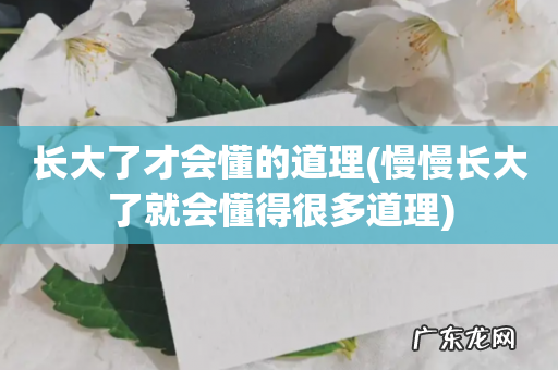 慢慢长大了就会懂得很多道理 长大了才会懂的道理