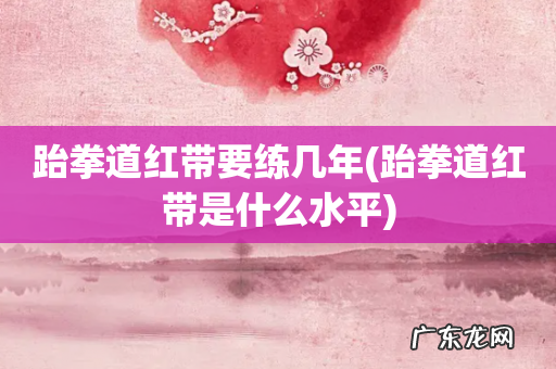 跆拳道红带是什么水平 跆拳道红带要练几年