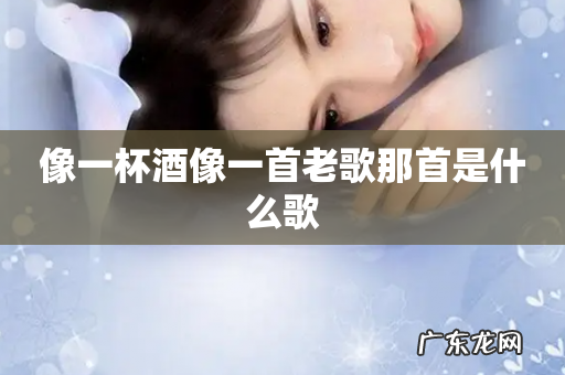 像一杯酒像一首老歌那首是什么歌