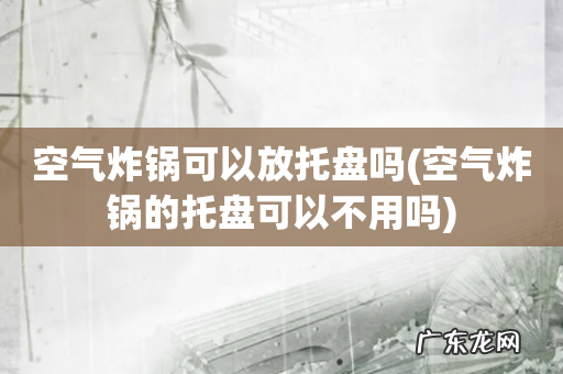 空气炸锅的托盘可以不用吗 空气炸锅可以放托盘吗