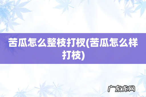 苦瓜怎么样打枝 苦瓜怎么整枝打杈