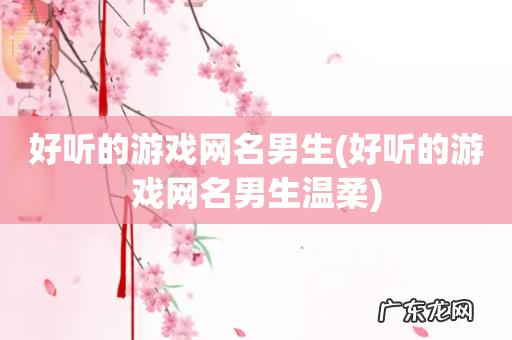 好听的游戏网名男生温柔 好听的游戏网名男生