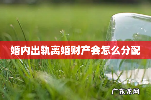 婚内出轨离婚财产会怎么分配