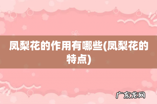 凤梨花的特点 凤梨花的作用有哪些