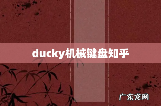 ducky机械键盘知乎