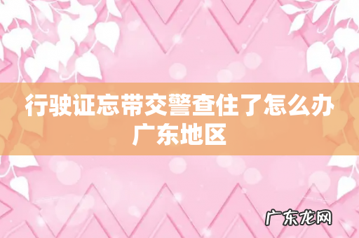 行驶证忘带交警查住了怎么办广东地区
