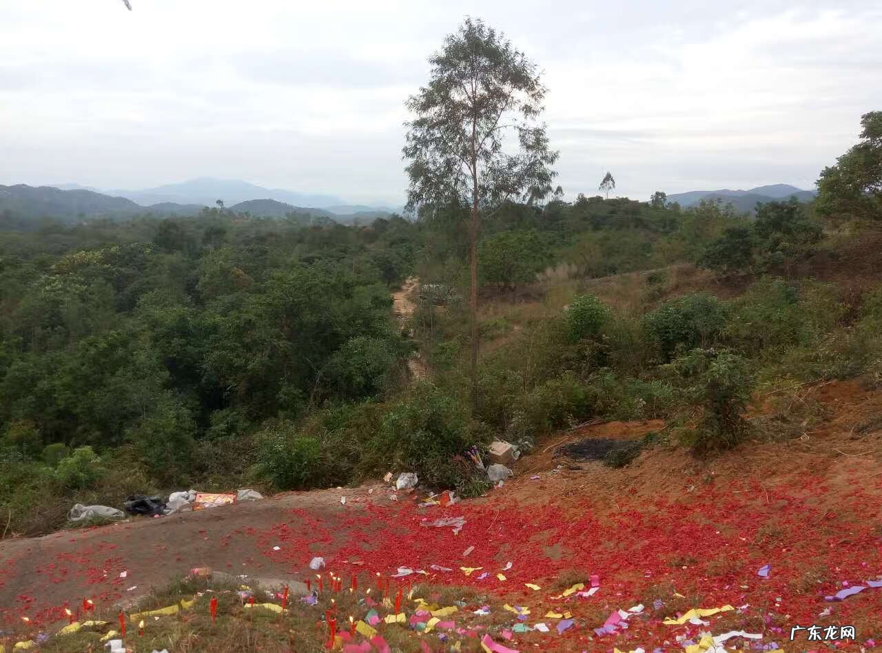 陆丰市河东镇有钱人 陆丰市的风水进金是什么意思