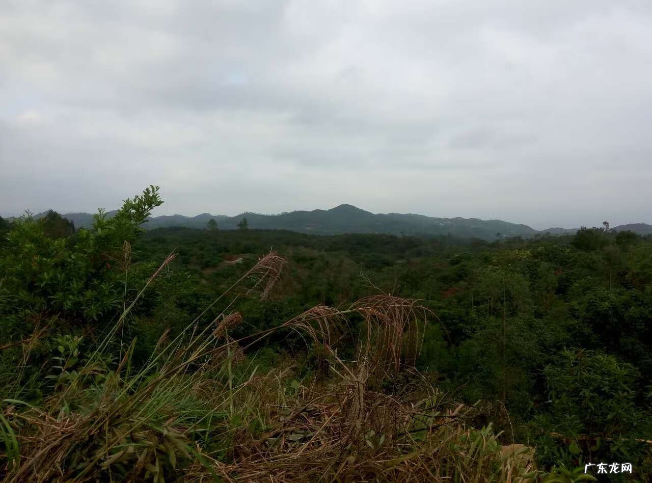 陆丰市河东镇有钱人 陆丰市的风水进金是什么意思