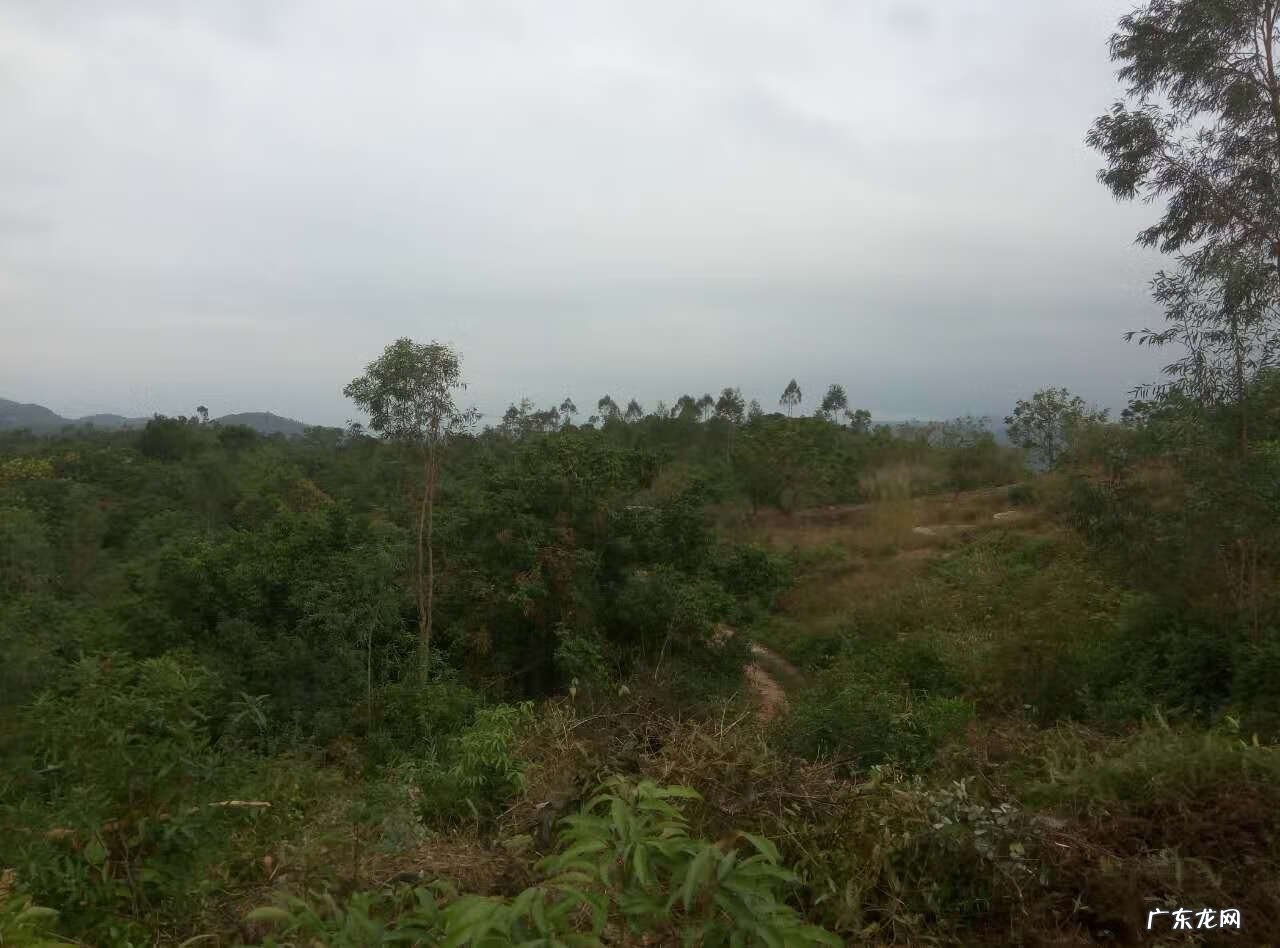 陆丰市河东镇有钱人 陆丰市的风水进金是什么意思