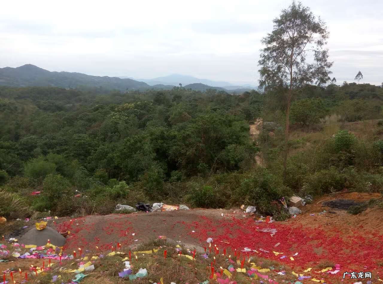 陆丰市河东镇有钱人 陆丰市的风水进金是什么意思