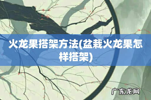 盆栽火龙果怎样搭架 火龙果搭架方法