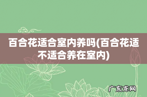 百合花适不适合养在室内 百合花适合室内养吗