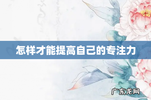 怎样才能提高自己的专注力