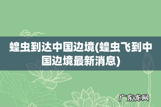 蝗虫飞到中国边境最新消息 蝗虫到达中国边境
