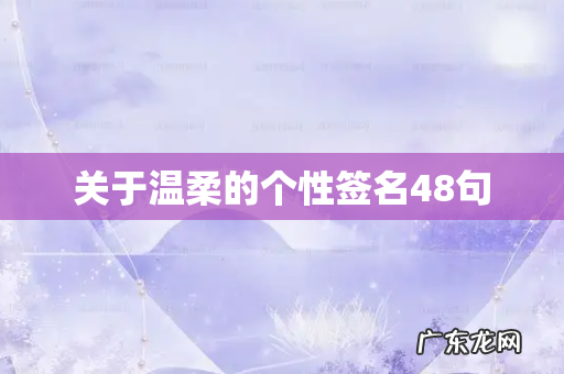 关于温柔的个性签名48句