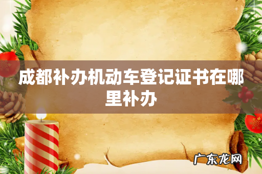 成都补办机动车登记证书在哪里补办