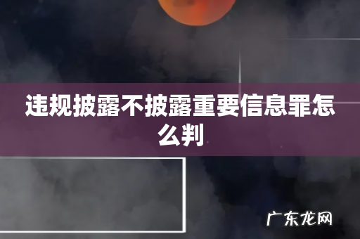 违规披露不披露重要信息罪怎么判