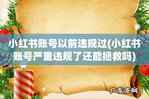 小红书账号严重违规了还能拯救吗 小红书账号以前违规过