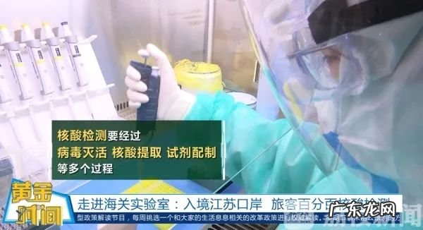 核酸检测流程步骤图 实验室核酸检测流程