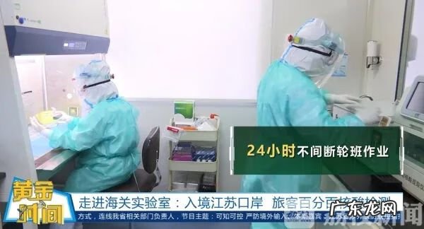 核酸检测流程步骤图 实验室核酸检测流程