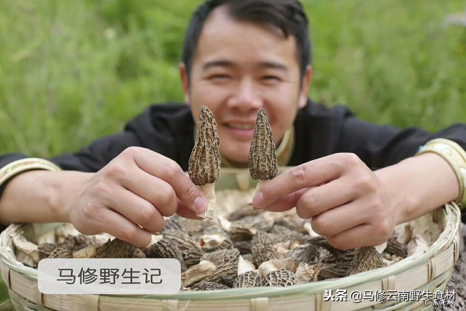 羊肚菌有什么功效与作用 羊肚菌的功效与作用