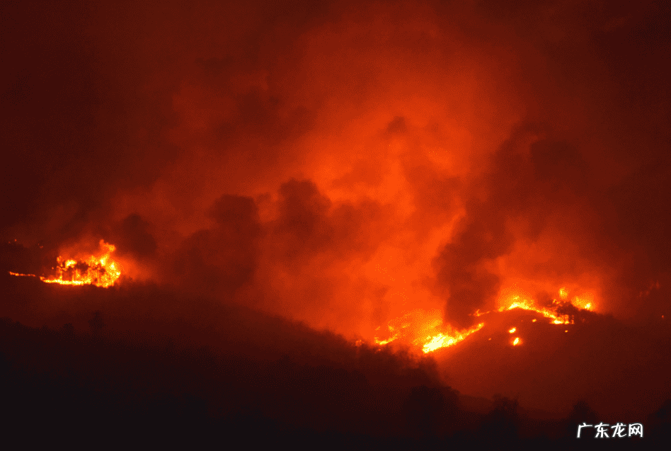 死树风水化解 风水死地是啥意思
