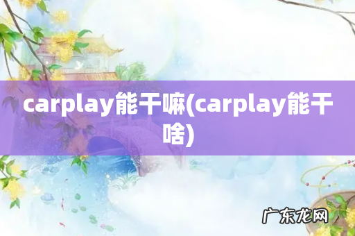 carplay能干啥 carplay能干嘛