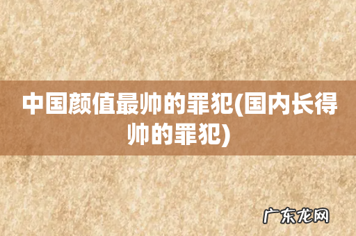 国内长得帅的罪犯 中国颜值最帅的罪犯