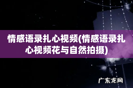 情感语录扎心视频花与自然拍摄 情感语录扎心视频