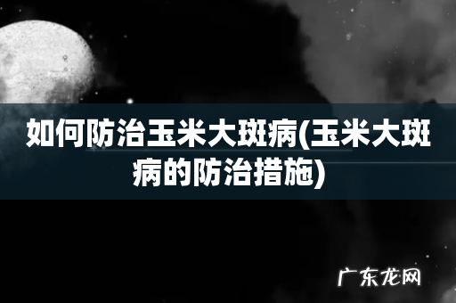 玉米大斑病的防治措施 如何防治玉米大斑病