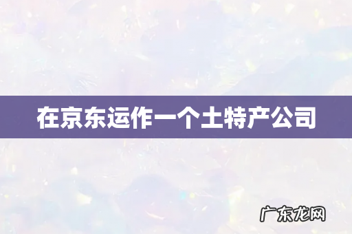 在京东运作一个土特产公司