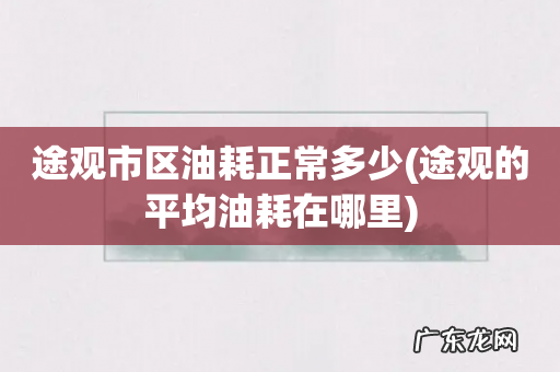 途观的平均油耗在哪里 途观市区油耗正常多少