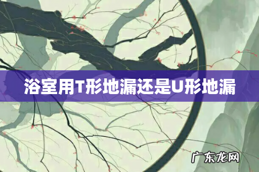 浴室用T形地漏还是U形地漏