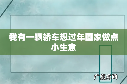我有一辆轿车想过年回家做点小生意