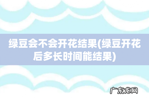 绿豆开花后多长时间能结果 绿豆会不会开花结果
