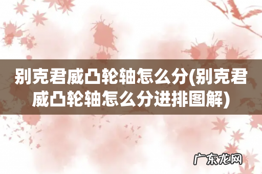 别克君威凸轮轴怎么分进排图解 别克君威凸轮轴怎么分