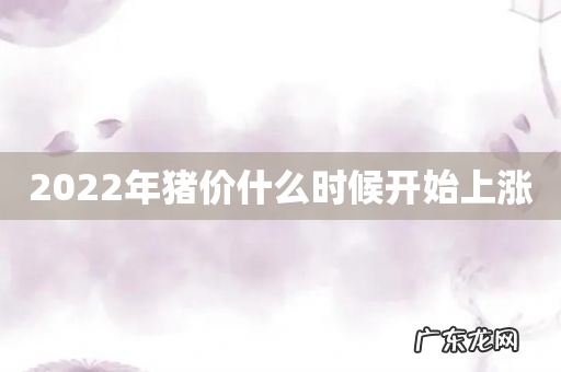 2022年猪价什么时候开始上涨