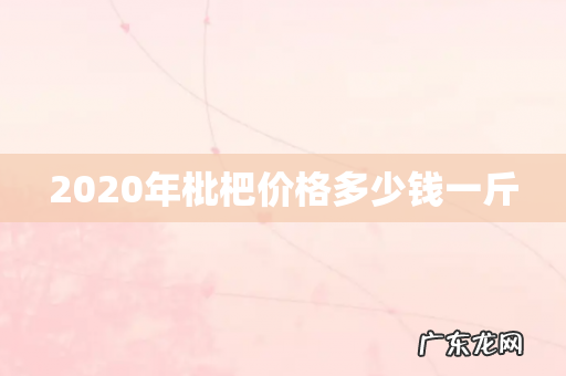 2020年枇杷价格多少钱一斤