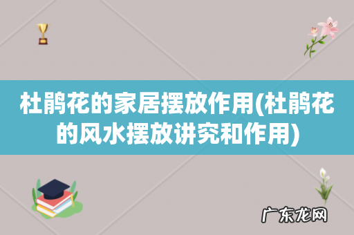 杜鹃花的风水摆放讲究和作用 杜鹃花的家居摆放作用