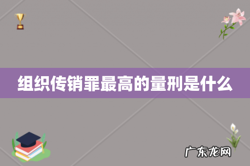 组织传销罪最高的量刑是什么