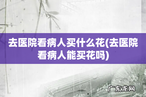 去医院看病人能买花吗 去医院看病人买什么花