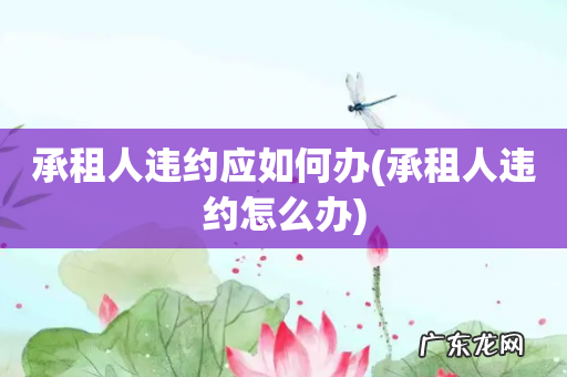 承租人违约怎么办 承租人违约应如何办