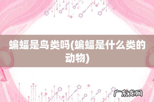 蝙蝠是什么类的动物 蝙蝠是鸟类吗